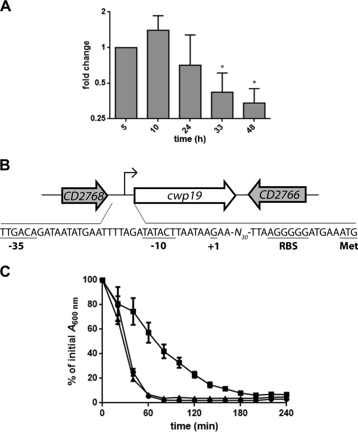 FIG 3 