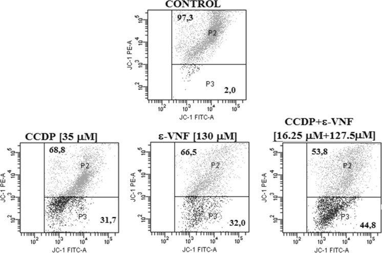 Fig. 3