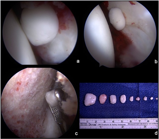 Figure 3.