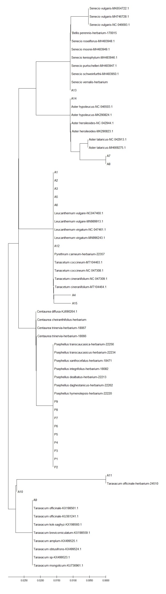 Figure 4.