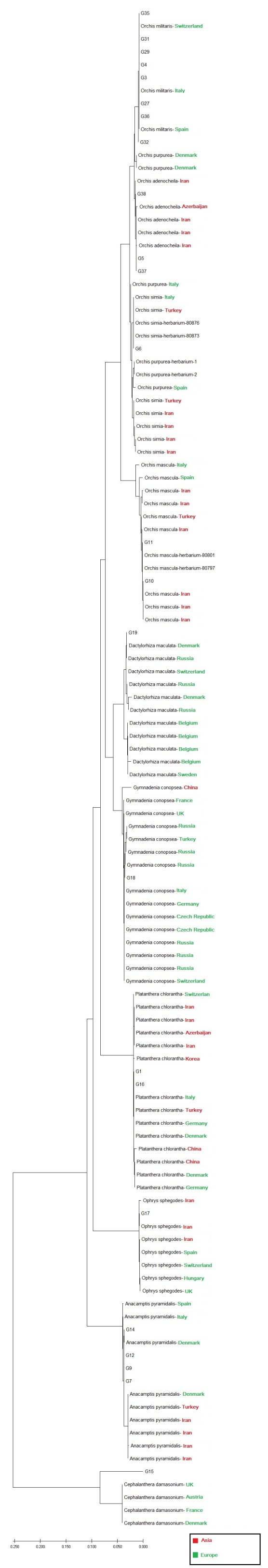 Figure 7.