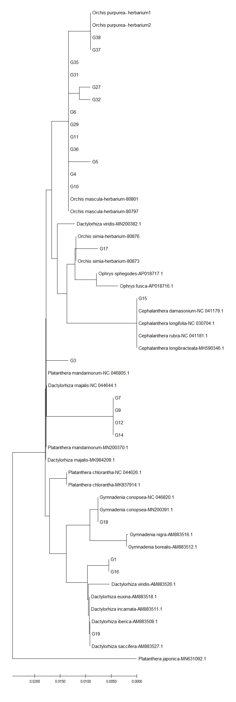 Figure 1.