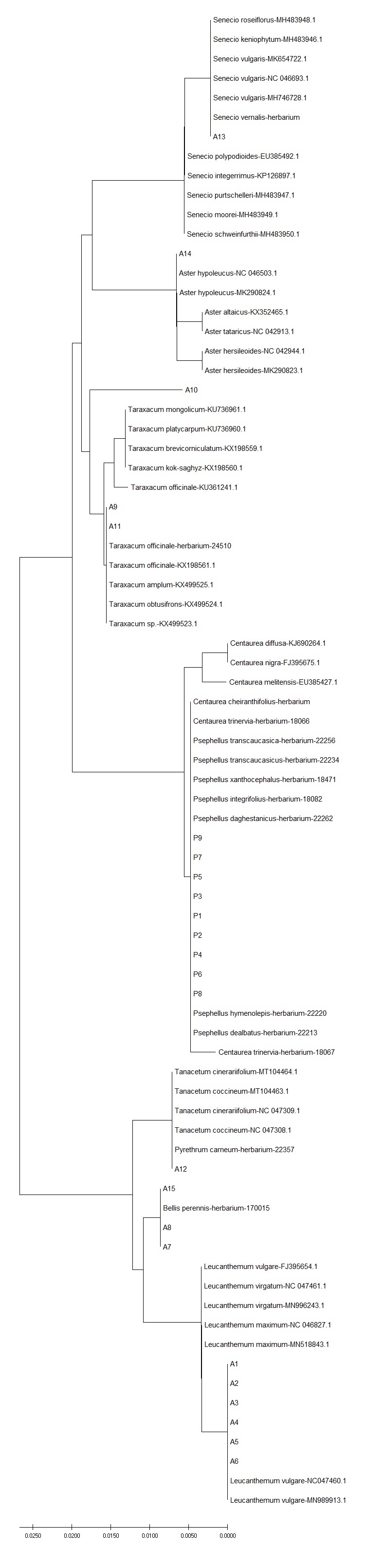 Figure 5.