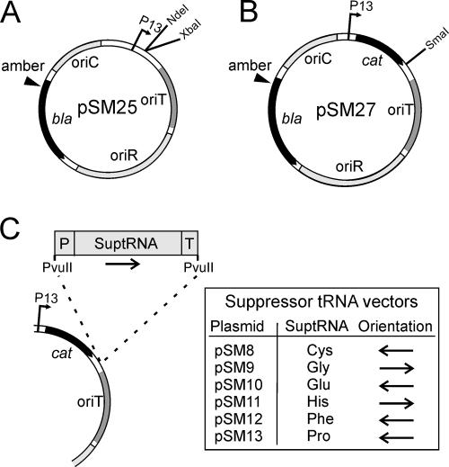 FIG. 2.