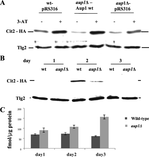 FIGURE 4.