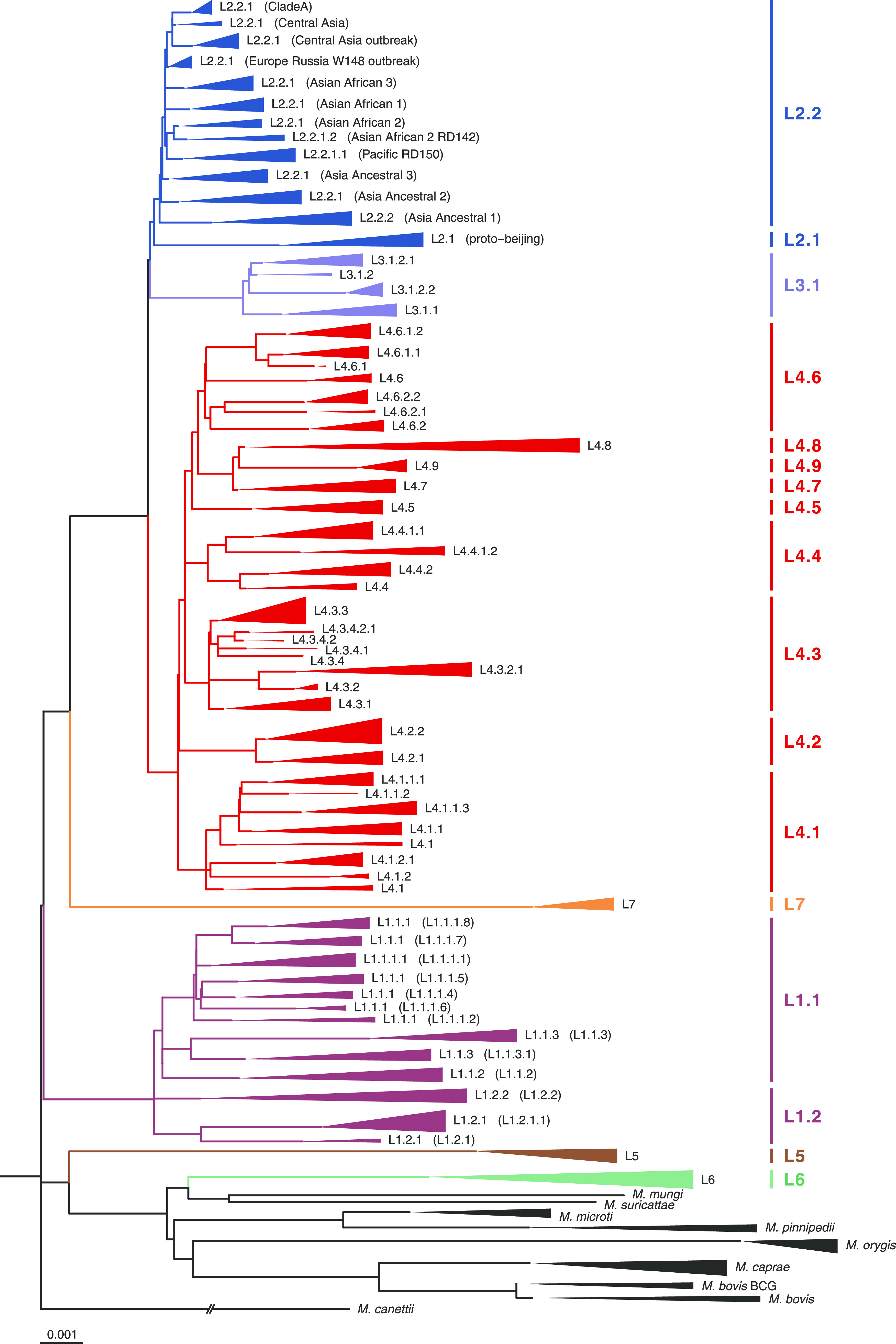 FIG 1