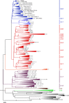 FIG 1
