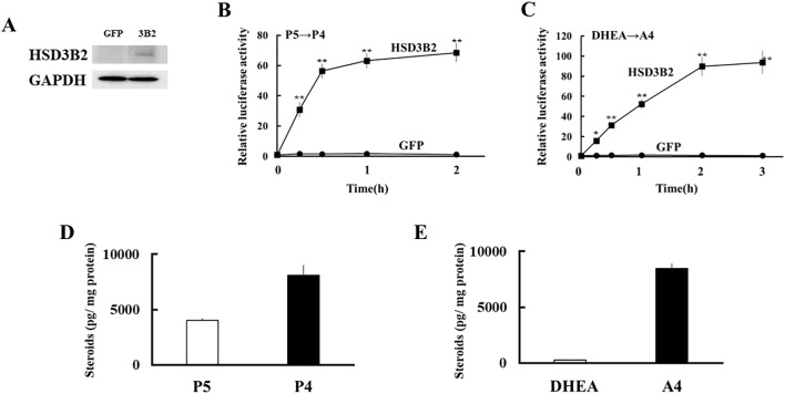 Figure 3