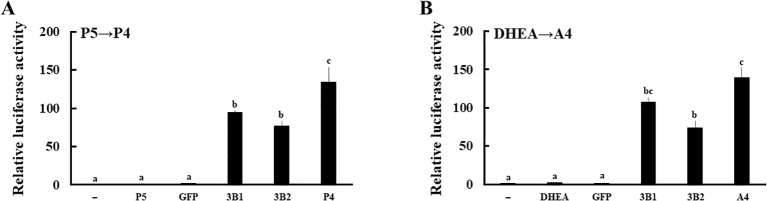 Figure 4