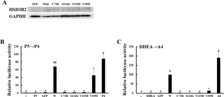 Figure 6