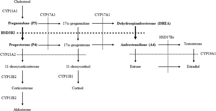 Figure 1