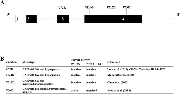 Figure 5