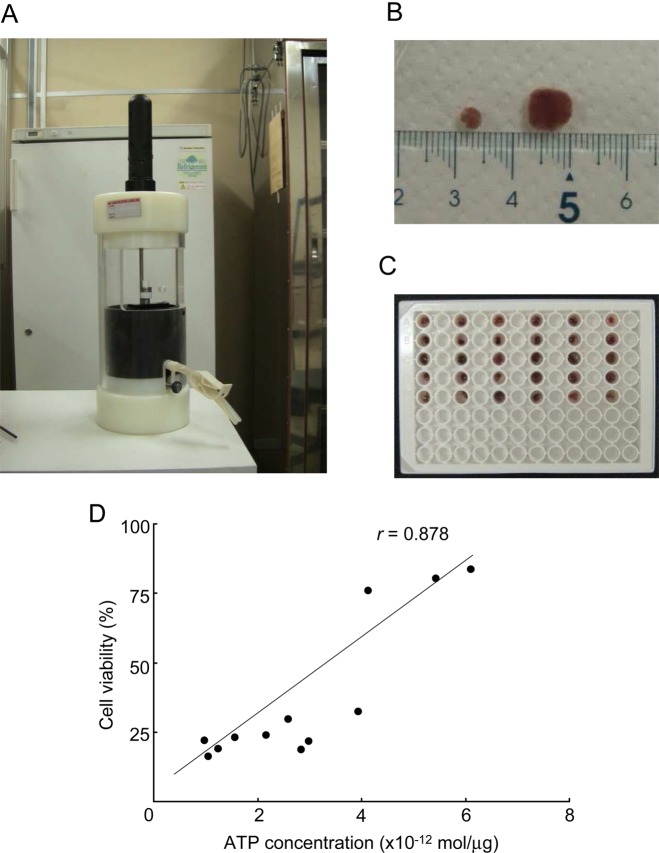 Figure 1