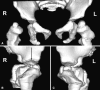 Fig. 9A–C