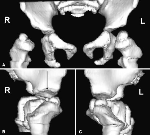 Fig. 9A–C