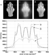 Fig. 13