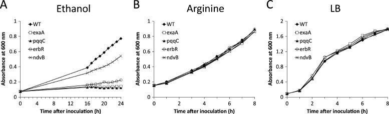 Fig 4