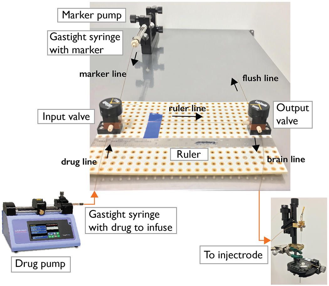 Figure 2.