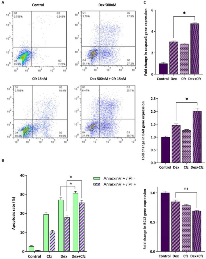 Figure 6