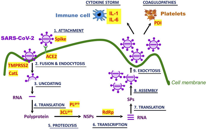 FIGURE 3