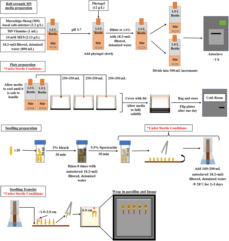 graphic file with name BioProtoc-13-20-4858-ga001.jpg