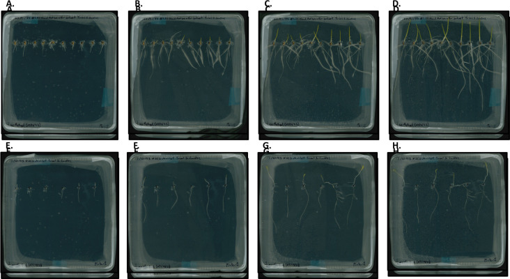 Figure 16.