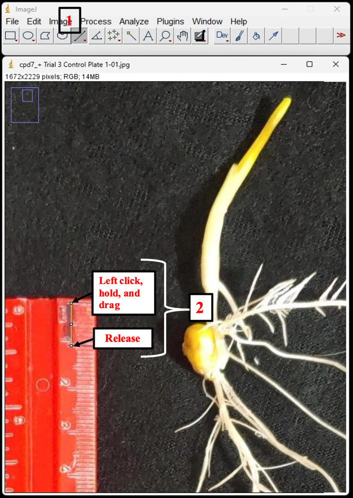 Figure 2.