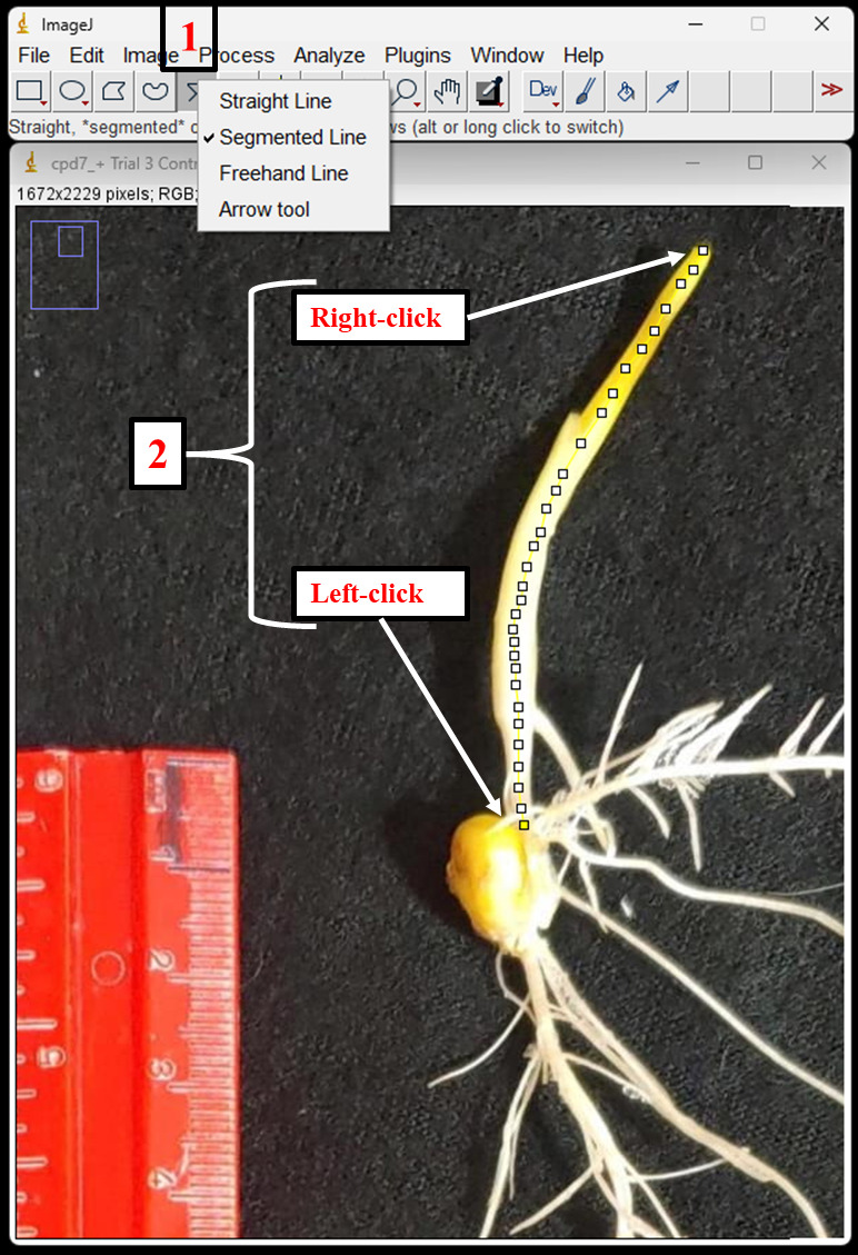 Figure 5.