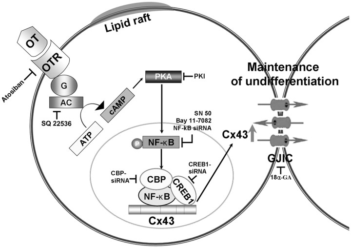 Fig. 8.