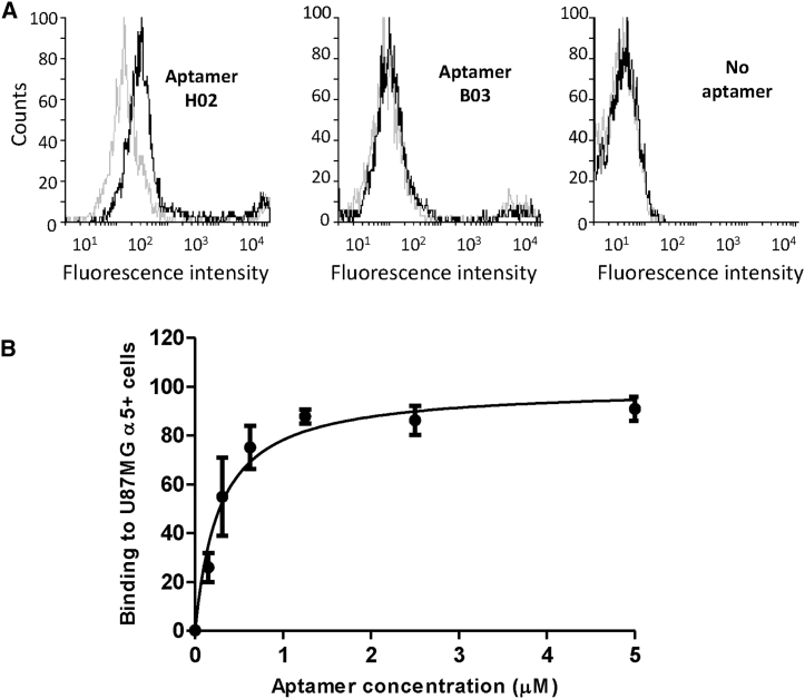 Figure 5