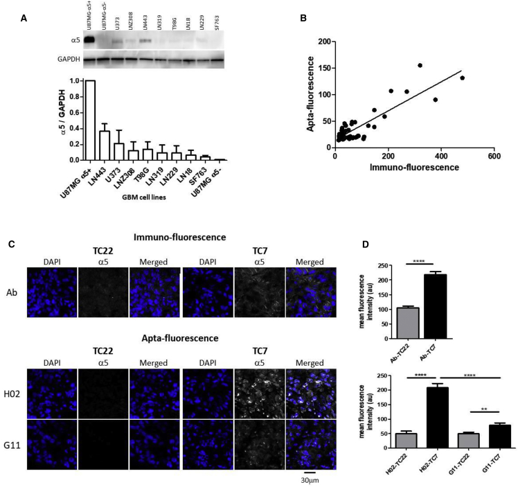 Figure 7