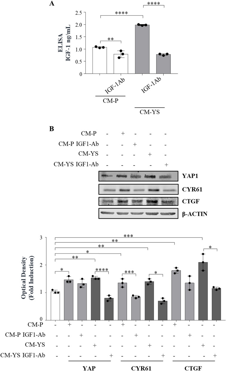 Fig. 7