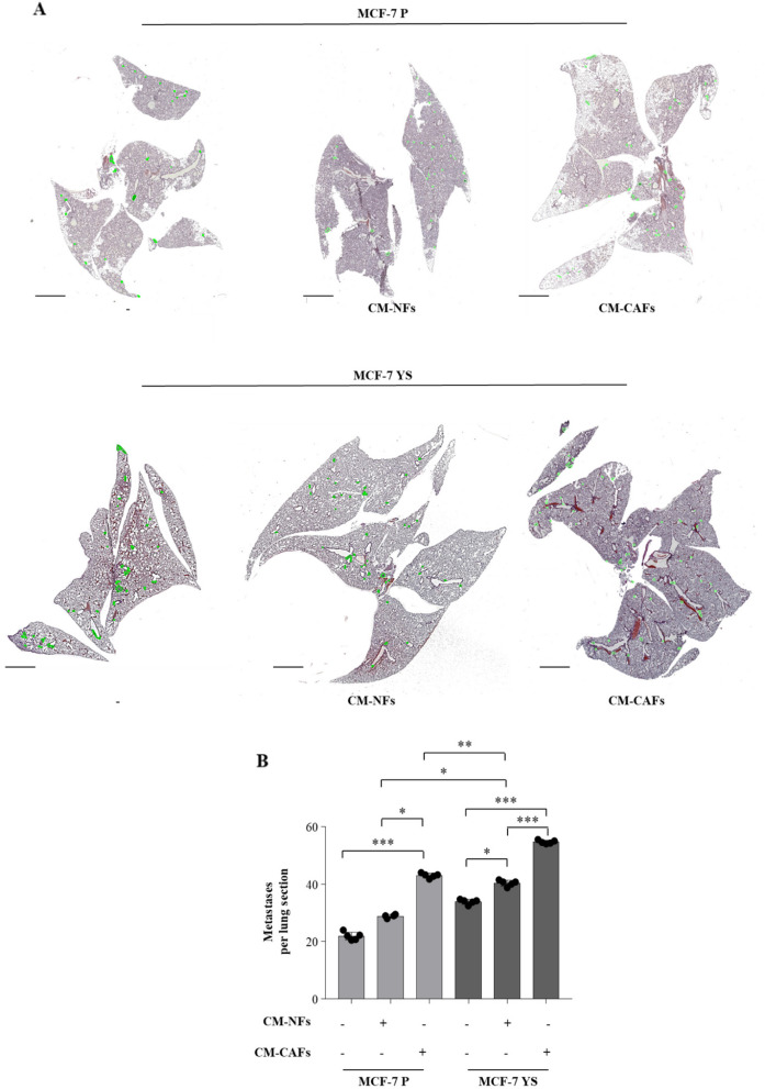 Fig. 10