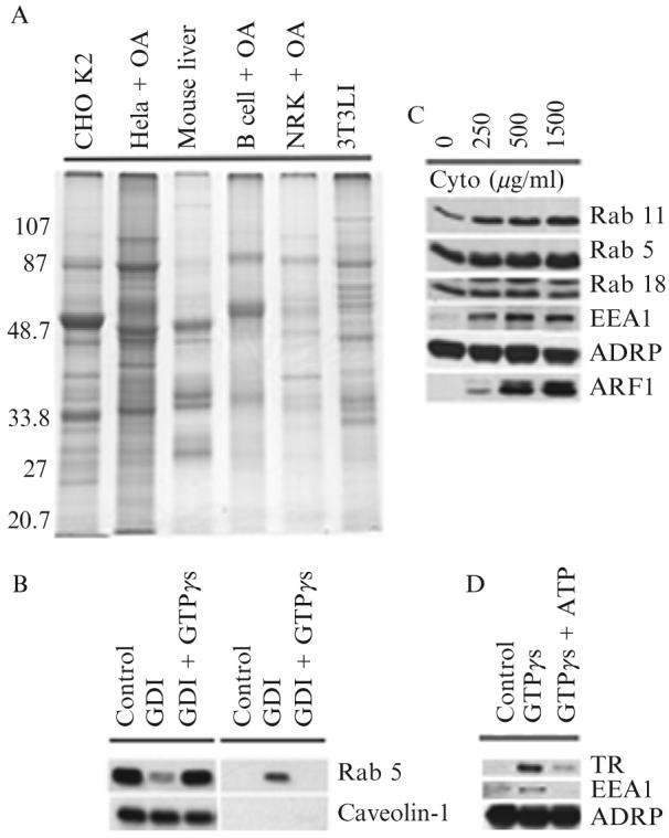 Figure 24.1