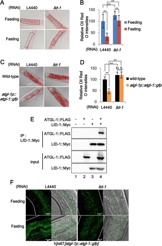 FIG 3