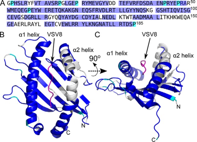 Figure 7.