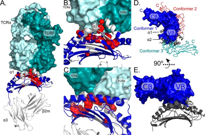 Figure 10.