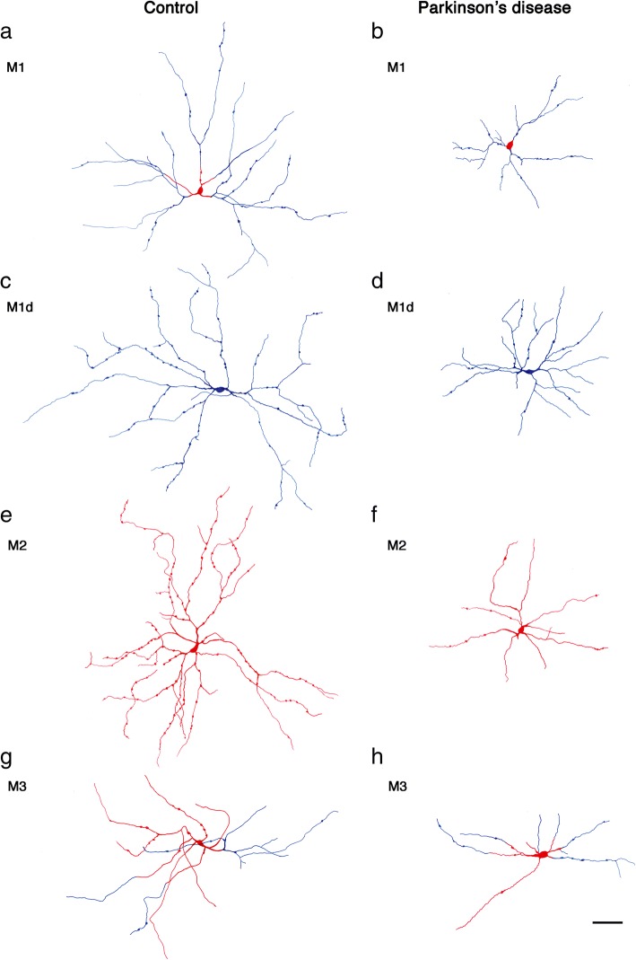 Fig. 3