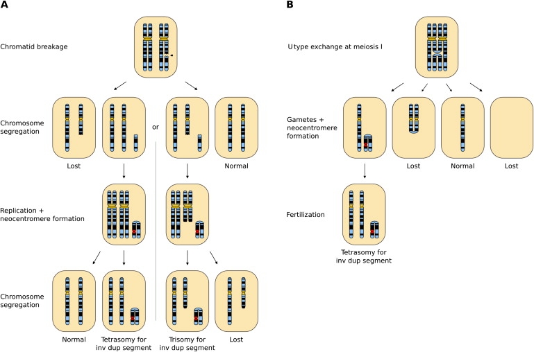 Figure 3