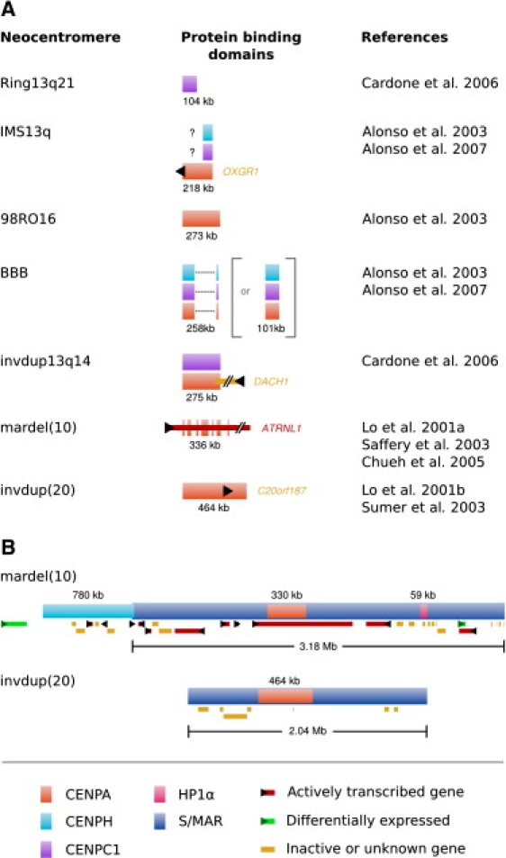 Figure 4