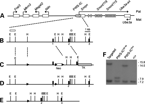 Figure 1.