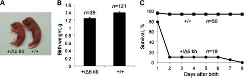 Figure 2.