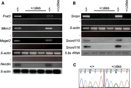 Figure 3.