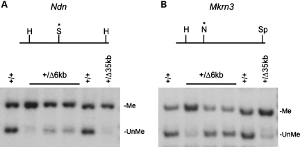 Figure 4.