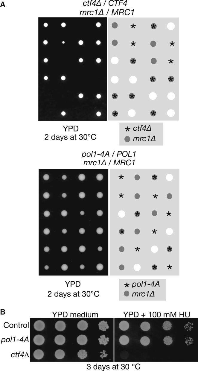 Figure 1