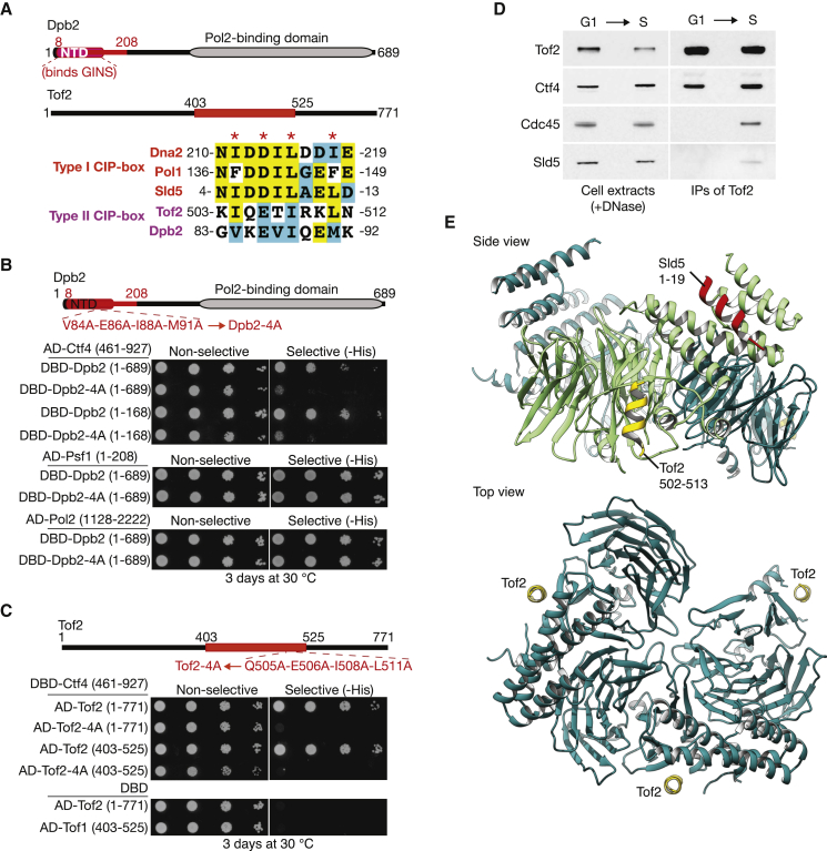 Figure 4