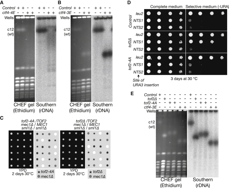 Figure 6