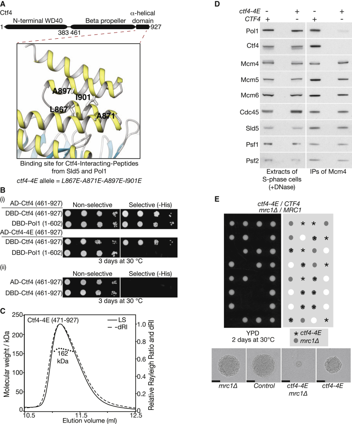 Figure 2