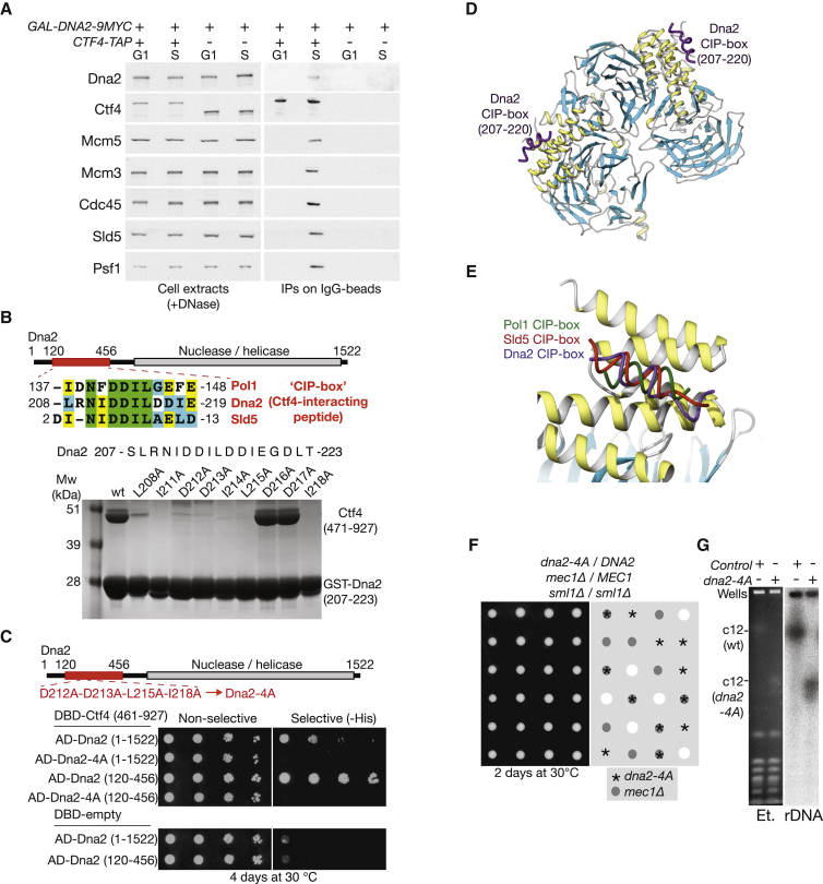 Figure 3