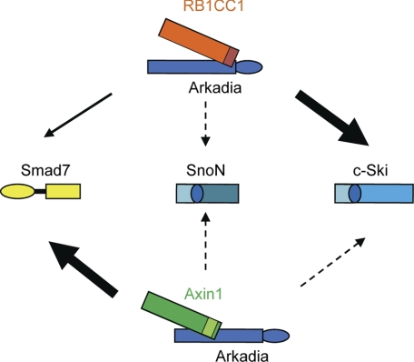 FIGURE 7.